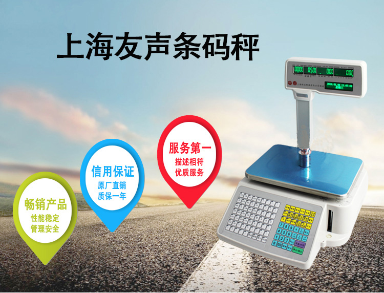 上海友声TM系列条码秤