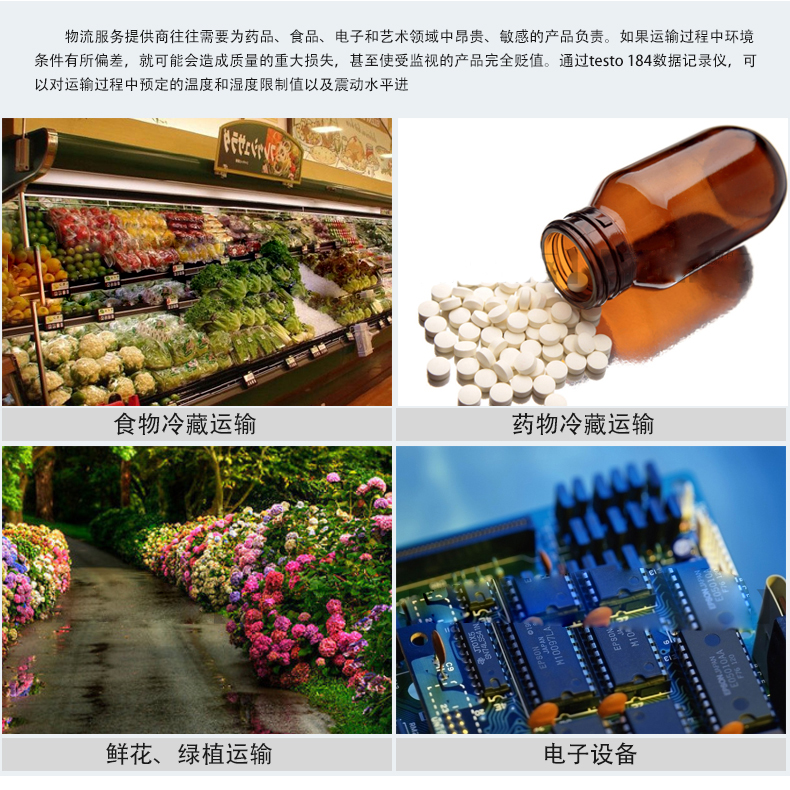 德图testo 184 H1 USB型温湿度记录仪