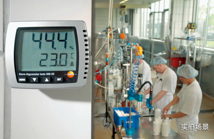 德图TESTO 608-H1温湿度计