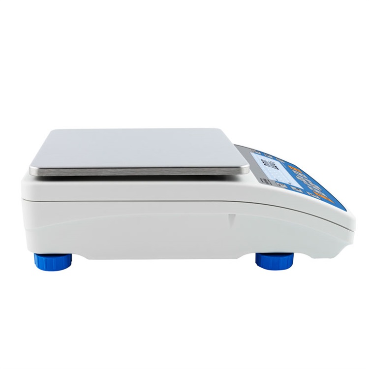 radwag  PS R2 PRECISION BALANCES