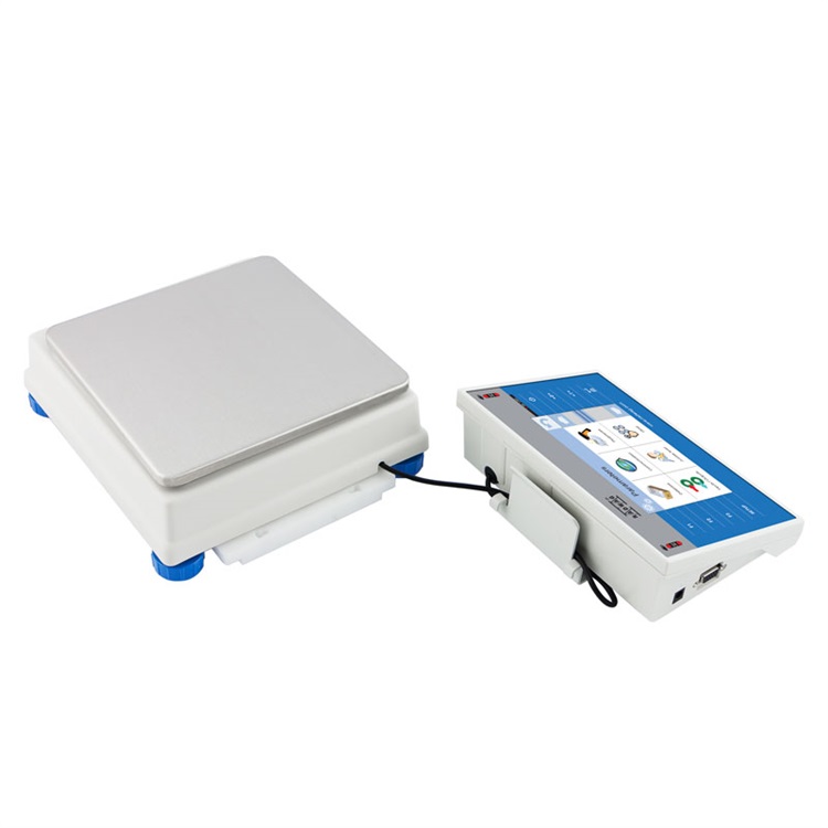 radwag  WLY 10/D2 PRECISION BALANCE