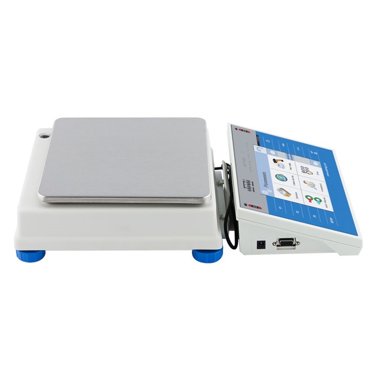 radwag  WLY 10/D2 PRECISION BALANCE