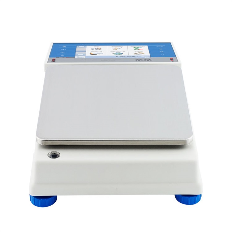 radwag  WLY 10/D2 PRECISION BALANCE