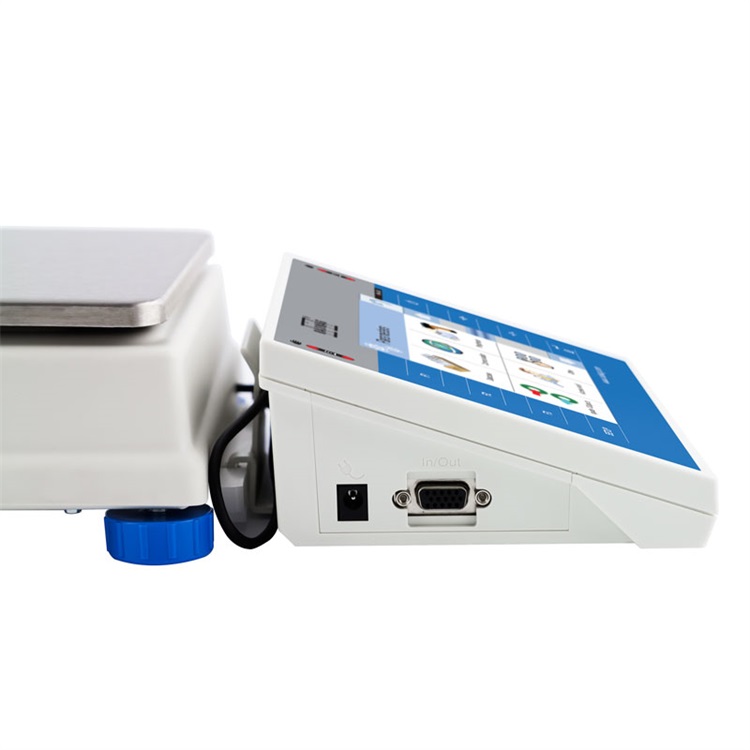 radwag  WLY 10/D2 PRECISION BALANCE