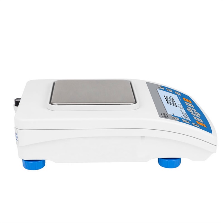 radwag PS R1 PRECISION BALANCES