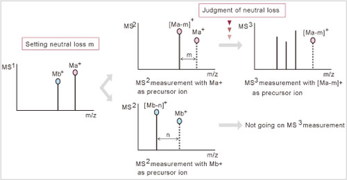LCMS-IT-TOF-12.jpg