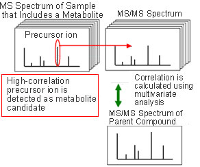 LCMS-IT-TOF-29.jpg