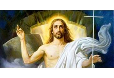 如何使电子叉车秤如何复活 如何使电子叉车秤如何复活