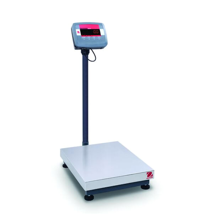 D24PE60FLZH
